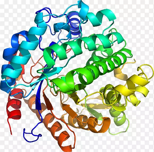 ���������鱦�л����߼�������-������