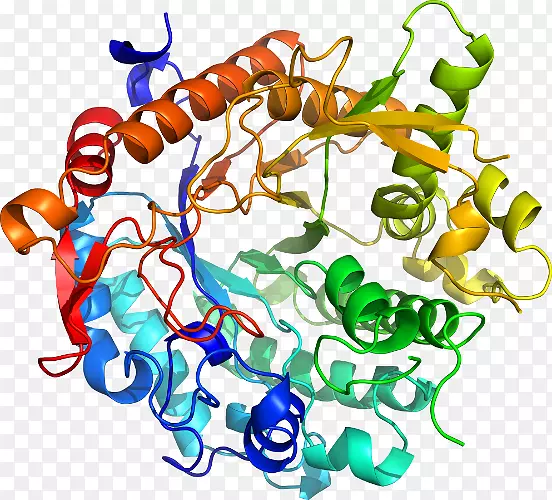 ���������л����߼�������-������