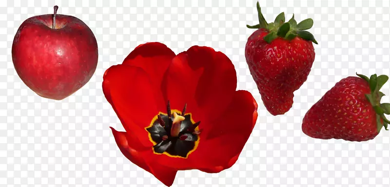 ��ݮƻ����ʳ��ȻʳƷ��ݮ-������