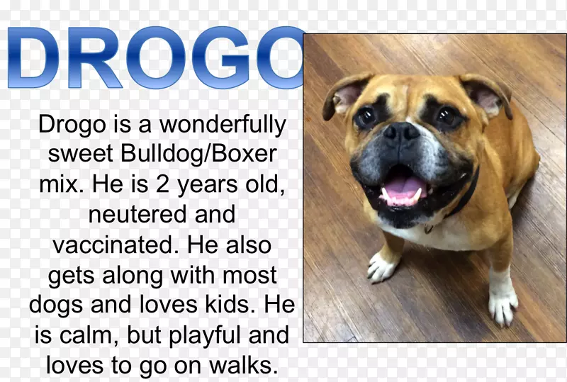 Ȯ���ӽ�Ȯ-������