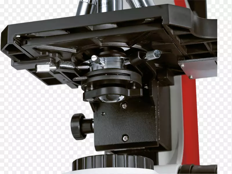 ӫ����΢������-������