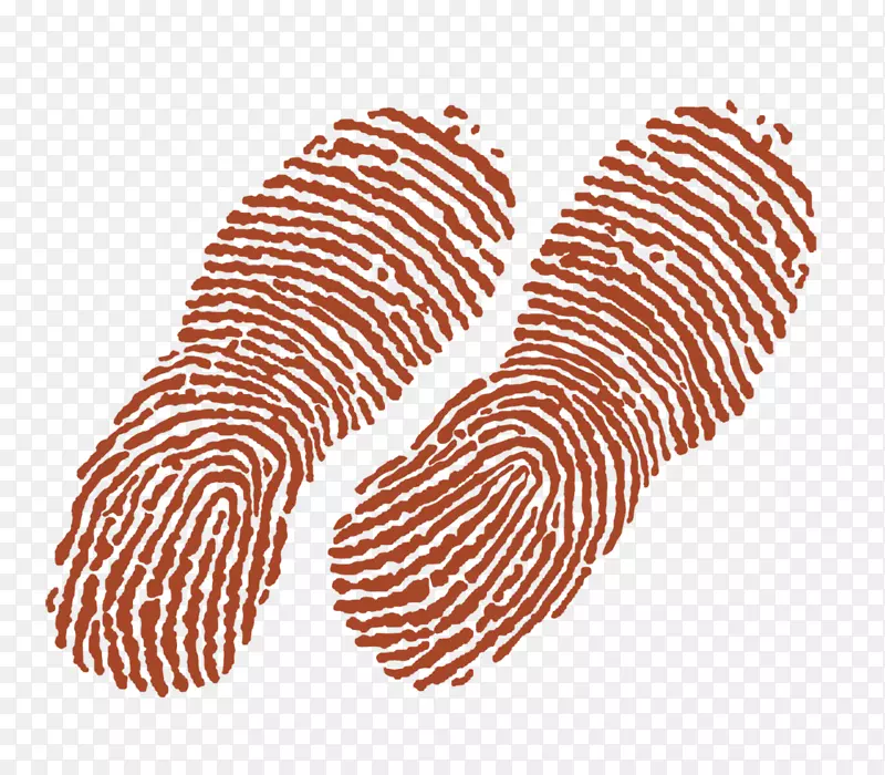 ��Ĳ���Ь���ʿ�˹�㼣-������