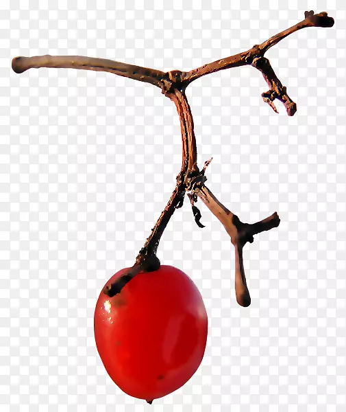 ˮ��-������Ԫ��-������