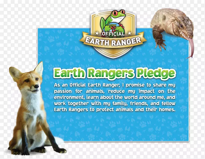 С������ӹ��-С��-������