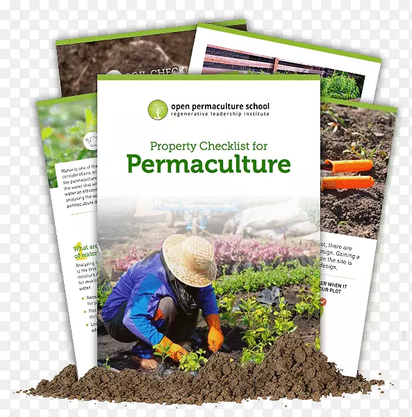 ���������Ϲ��-��-������