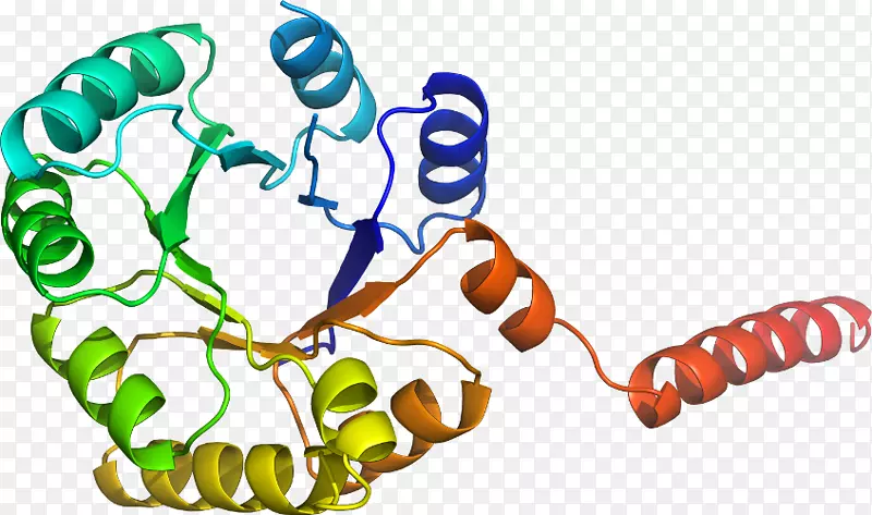 ���������л����߼�������-������