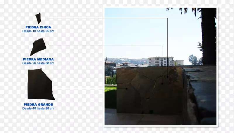 Ʒ�ƶ�ý�����-������