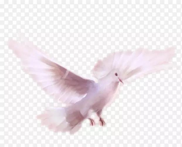 ��ë����Ⱥ���ë-������