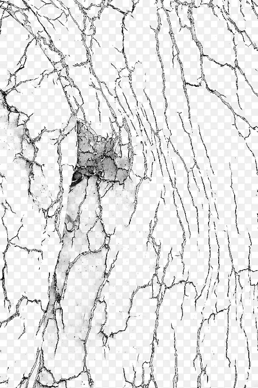 ����-ʵ�����������Ч��-������