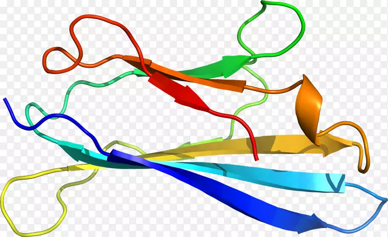 �ߵ������-��-������