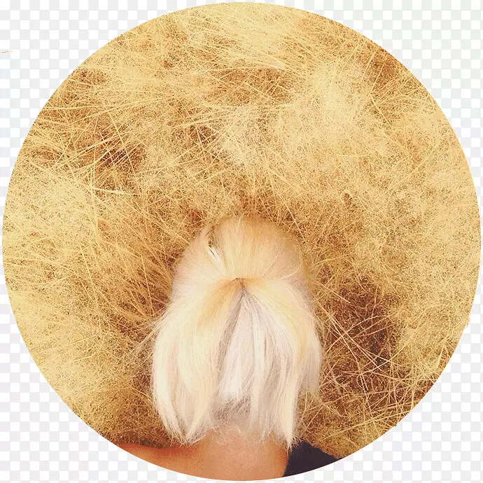 ����ëƤ-�Ҳ�֪���Ҵ�����Ҫȥ�������-������