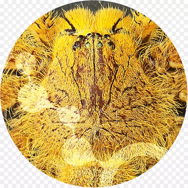 ��Ȼ�������ݽ�������������-�Ҳ�֪����������Ҫȥ�������-������