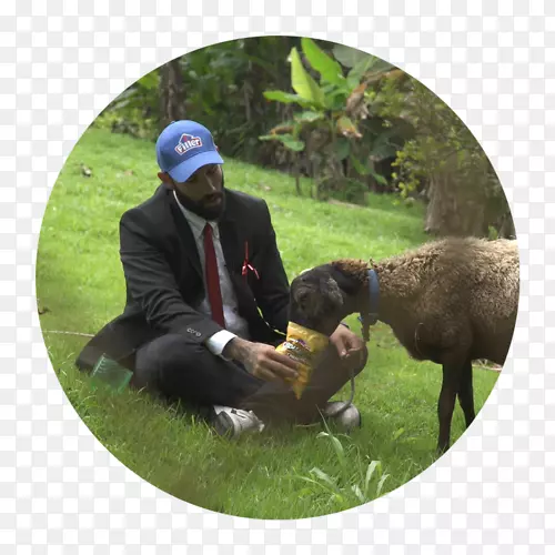 ����Ⱥ-����ͬ��-������