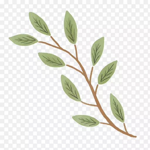 ���ֲ�ͼˮ�ʻ����-������