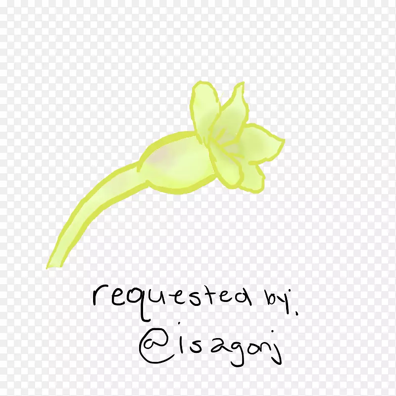 �л�����ֲ�ﾥ���鱦����ֲ��-������