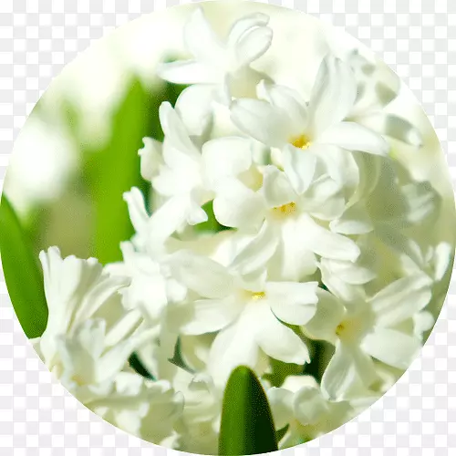 ��������л������ӻ�-������