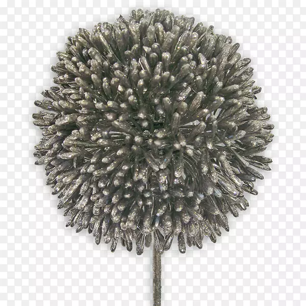 ��-��-������