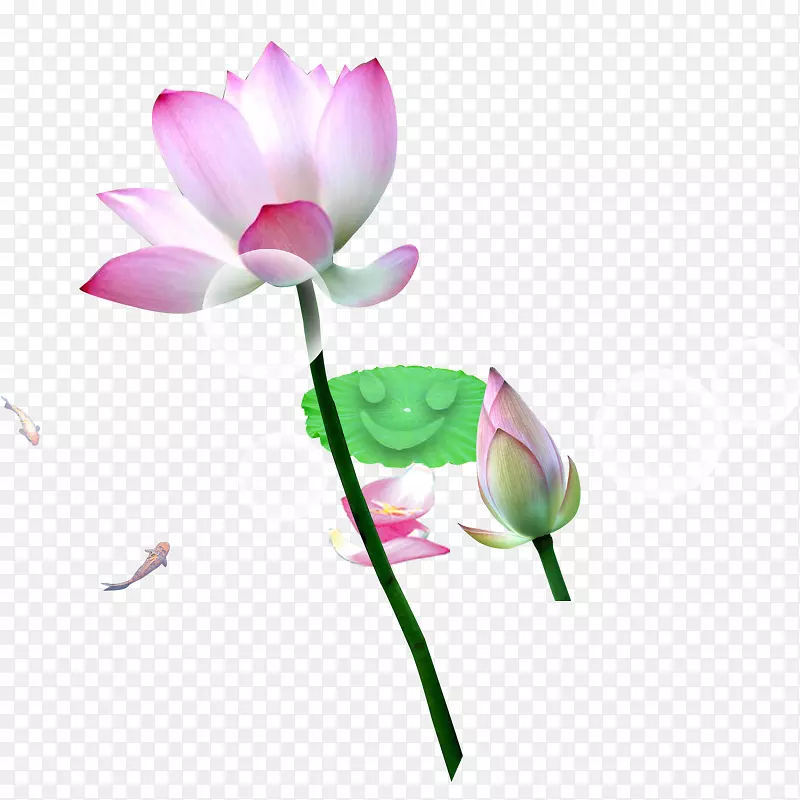 ��ź��-������