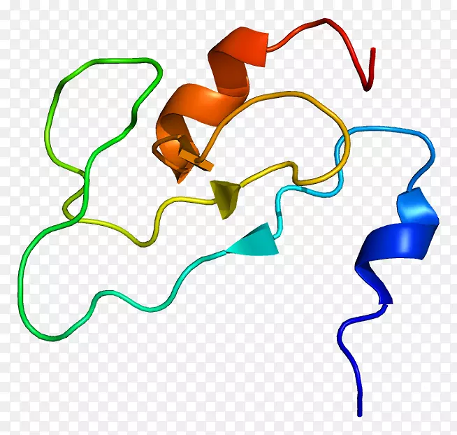 �ߵ������������-������