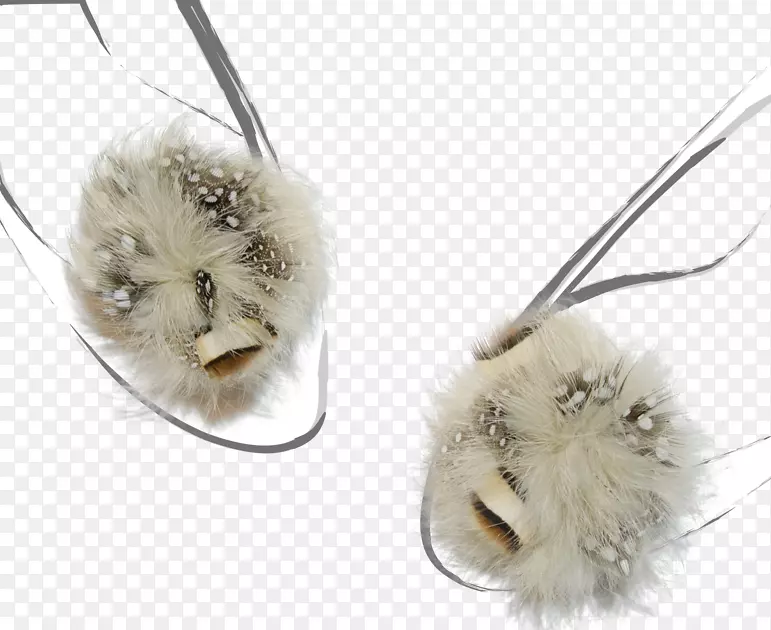 ��ëƤ��-������