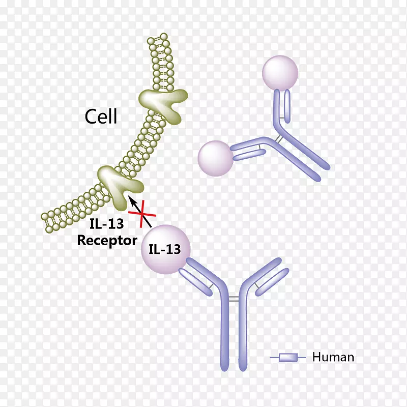 ��������ҩ�ﰢ����Ī���������ط��Է���ά��-������