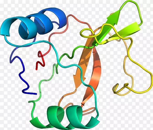 ֲ�ﾥ���鱦���������-������