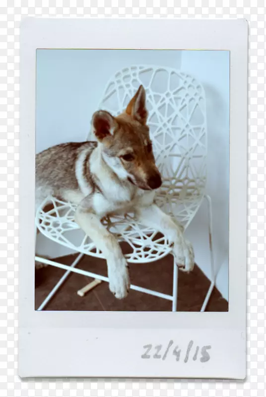 ������������LX����������-��-������