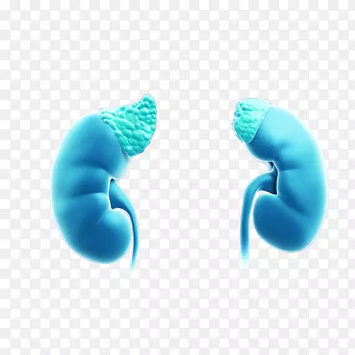 ����ʯ���������������������-������