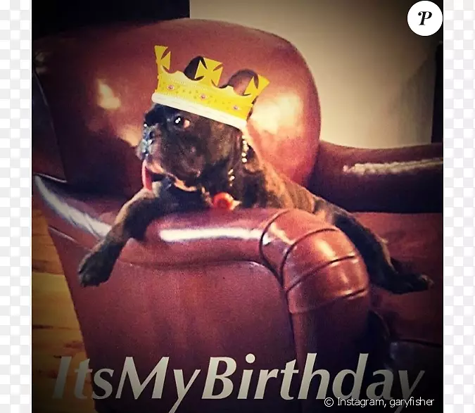 �����ֽ��������-������