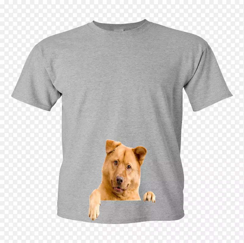 ���˾��ط��������˶���-t��-������