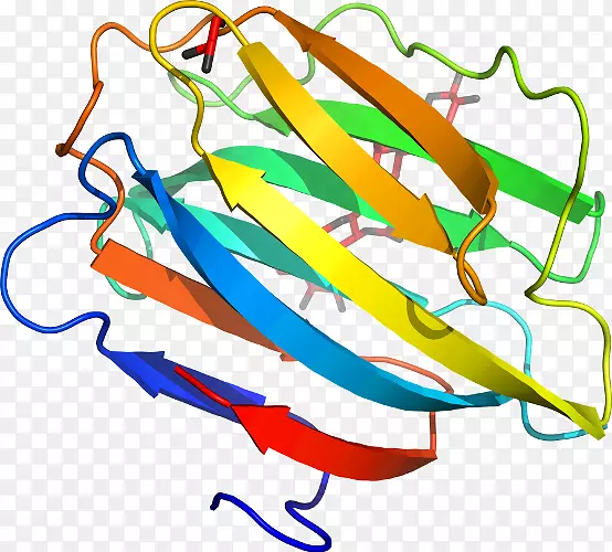 �ߵ������������-������