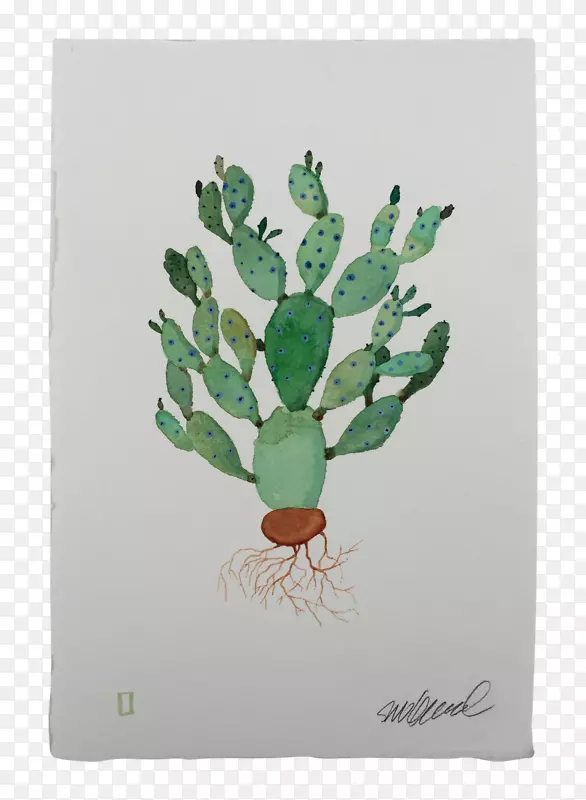 ѩ������������-������