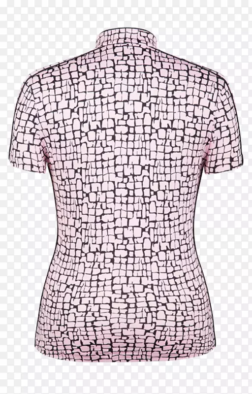 ������.����ɫˮ��-������