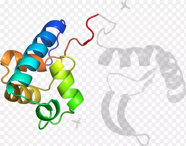 ��ָ���������-������