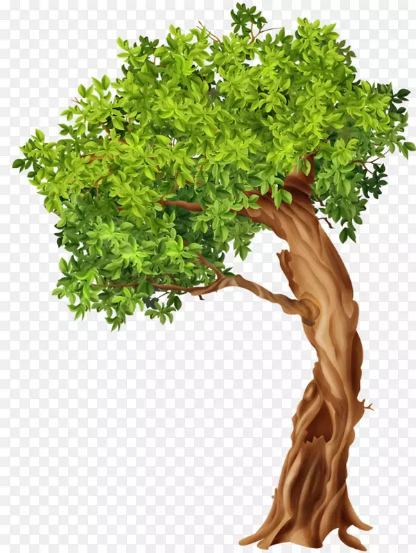 ʯ�ɲ��ͼ�����-��-������