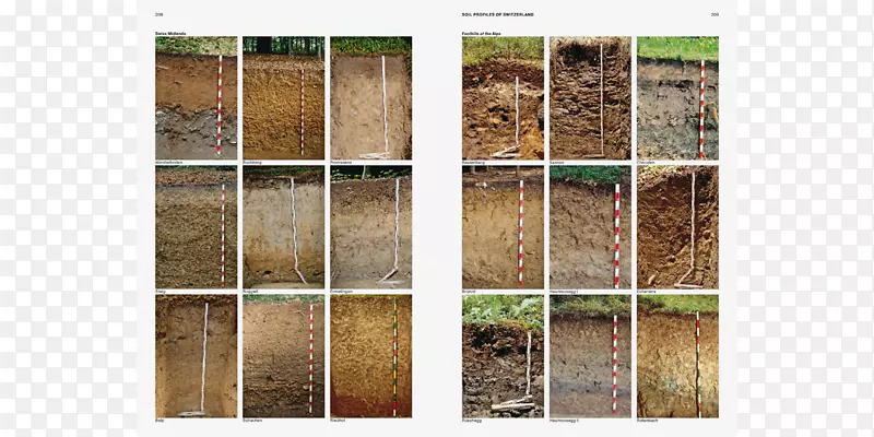 ľ��Ⱦɫ����.ľ��-������