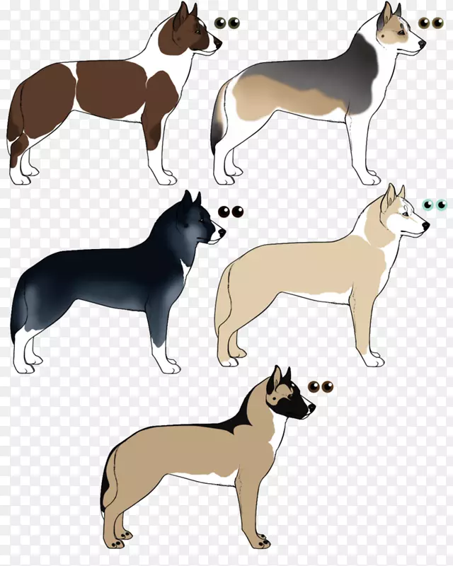 ����ֳ����Ұ�������������-������