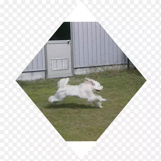 �н�-������