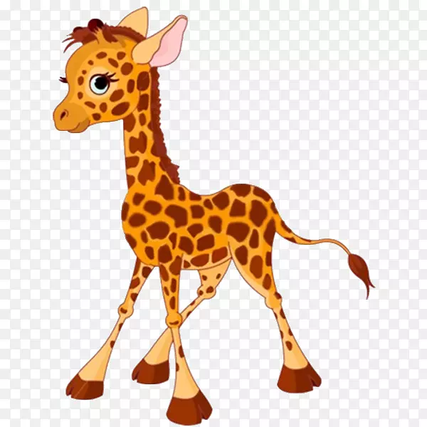 ����¹������Ƭ������������¹������-������