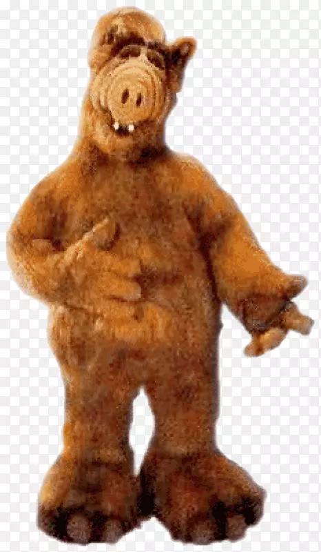 Alf���ӽ�Ŀ�龰ϲ��Wikia-KFC Novi Sad-������