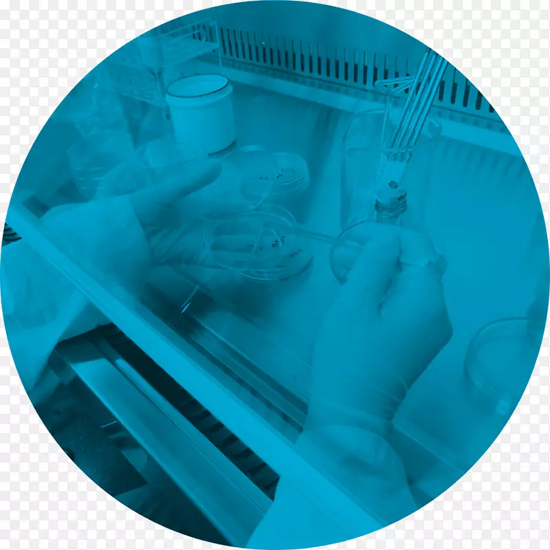 ������ҵʵ�������ݿ�ѧ-��ҵ-������