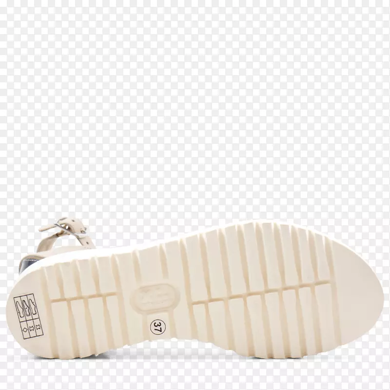 Ь����ѵ�����-������