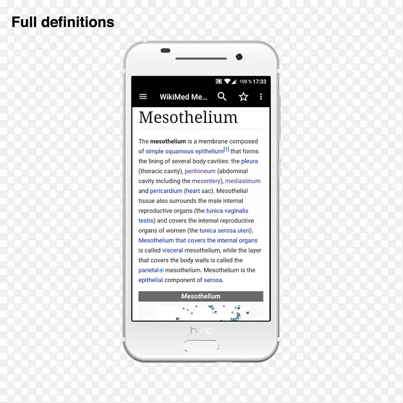 �����ֻ��ֳ��豸���Ŷ�ý�����������ֻ�-������