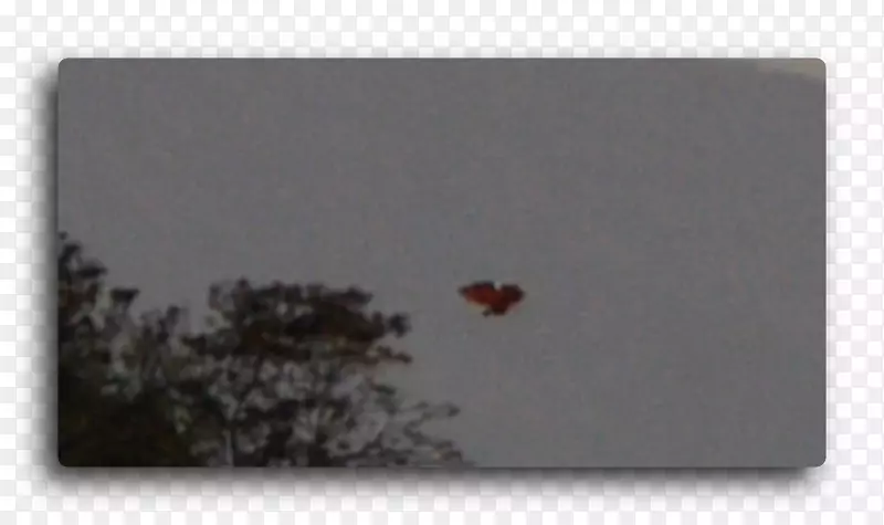 ����-Marte otra vez-������