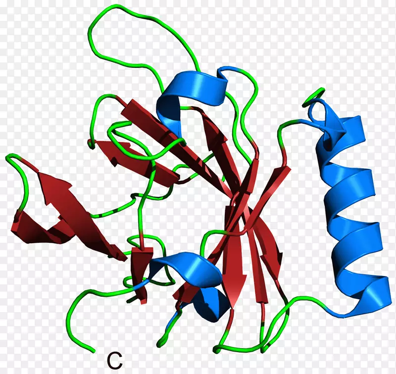 �ߵ������������-������