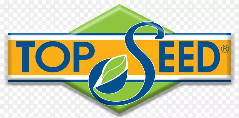 �̱��������-������