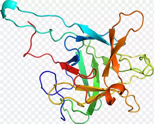 �ߵ��֧��������-������