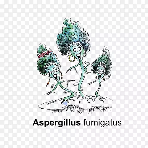 ��������ֲ���������鱦.���˷����-������