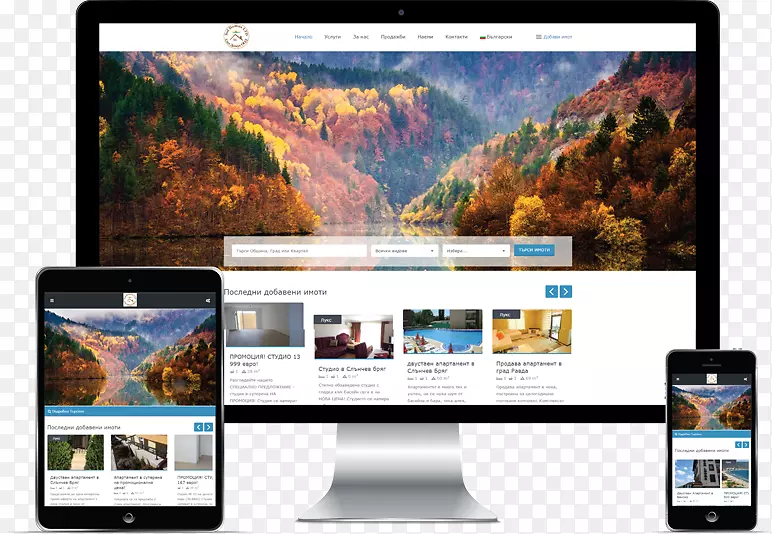 ������ʾ����ý�������ֽ��ʾ���.�����-������