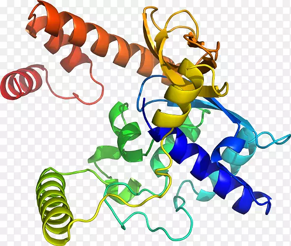 �����߶����������-������